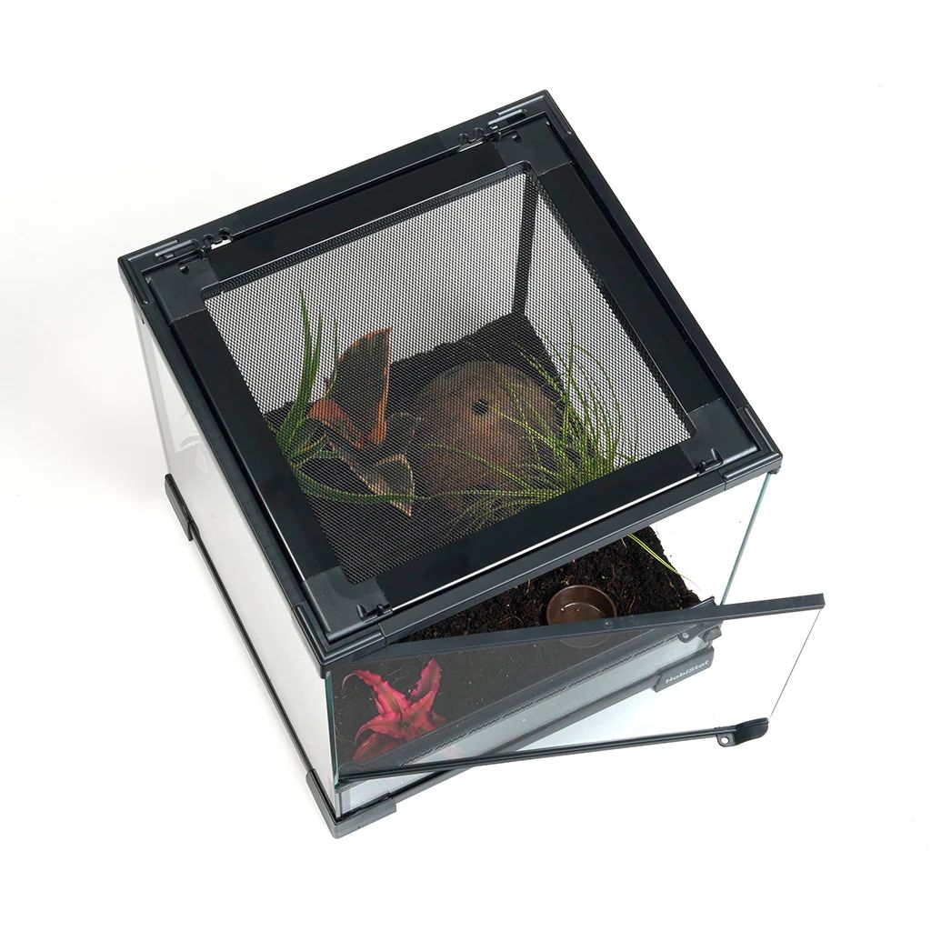 HabiStat üveg terrárium 30 x 30 x 45 cm