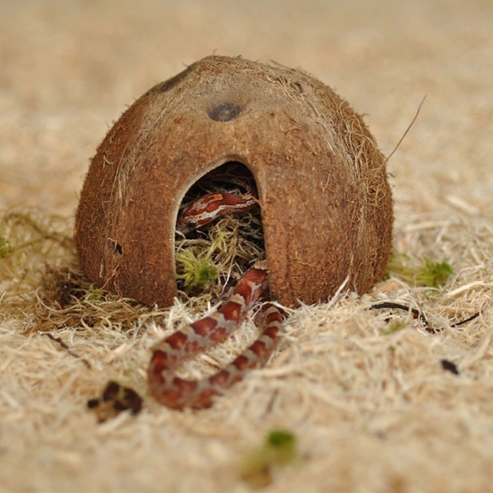 Substrat pentru serpi, HabiStat Snake Bedding, 5 Litri