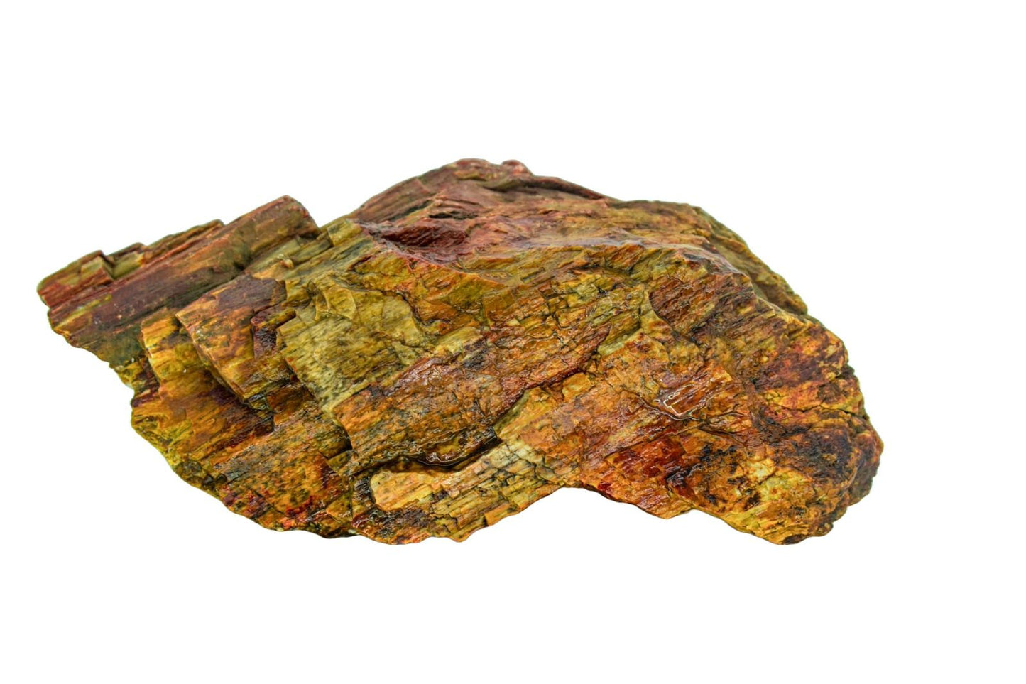 Piatra naturala decor Geler, Petrified Wood Stone 10-40 cm, pret/kg