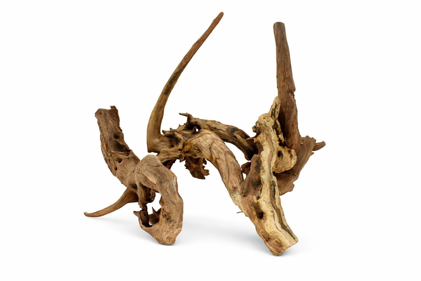 Lemn natural decor acvariu Geler Coral Wood, pret per kg