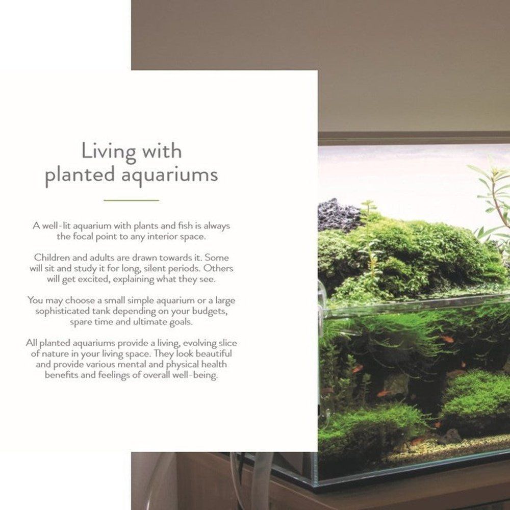 Tropica könyv ,50 YEARS UNDER THE SURFACE"