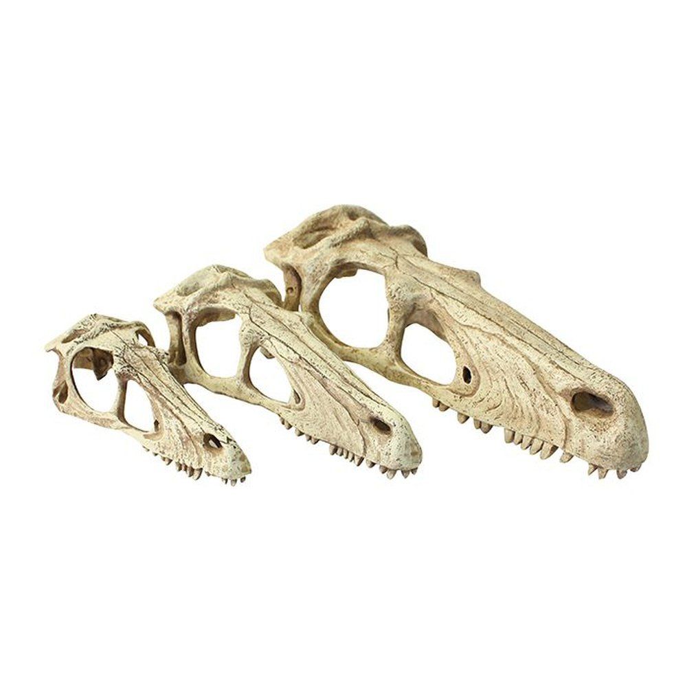 Terrárium dekoráció dinoszaurusz koponya formájában, Komodo Raptor Skull