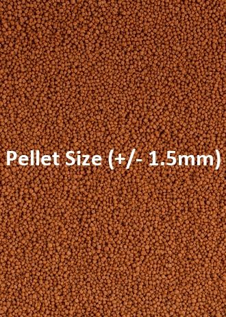 Táplálék granulátum formájában Betta halakhoz, Ocean Nutrition, Attison, 75g