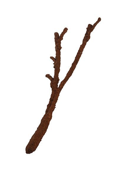 Kókuszszálas terrárium dekoráció, Komodo Natural Tropical Vine Branch, L
