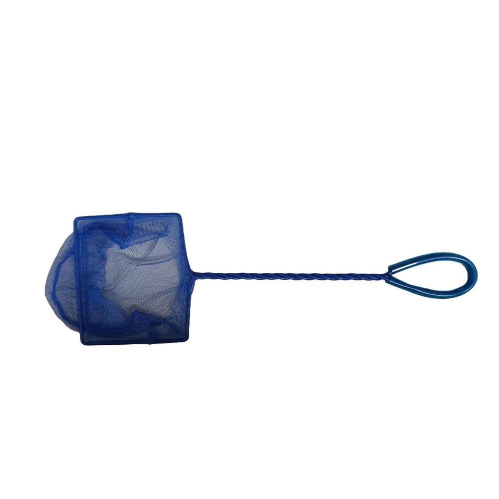 Kék hazug, 12 cm, Vörös daru