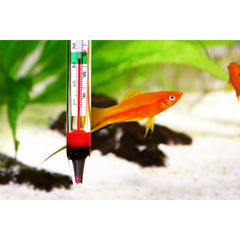 Hőmérők Akváriumokhoz