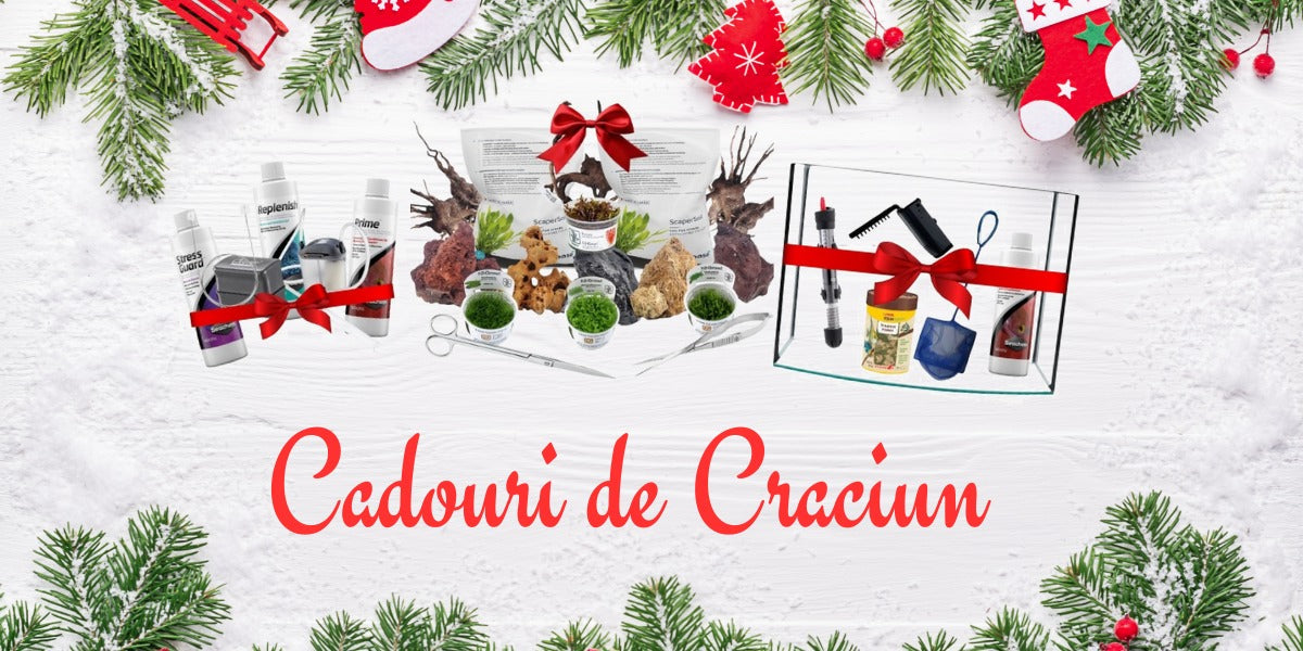 Cadouri Inspirate pentru Crăciun