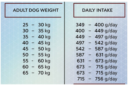 HiQ Maxi Adult Salmon 11kg Száraztáp nagytestű kutyáknak
