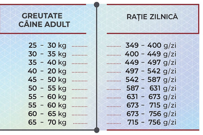 Lazac alapú szárazeledel nagytestű felnőtt kutyák számára, HiQ Maxi Adult Salmon, 2,8 kg