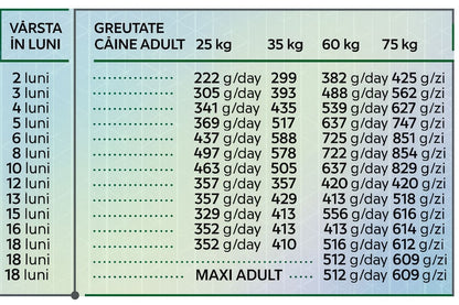 Hrana uscata pentru caini tineri de talie mare pe baza de carne de pasare, HiQ Maxi Junior, 11 kg