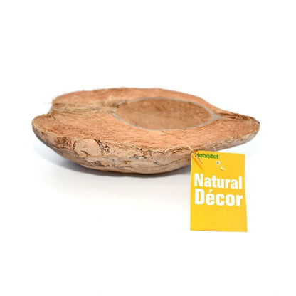 Bol nuca de cocos pentru terarii, HabiStat, Coco Bowl