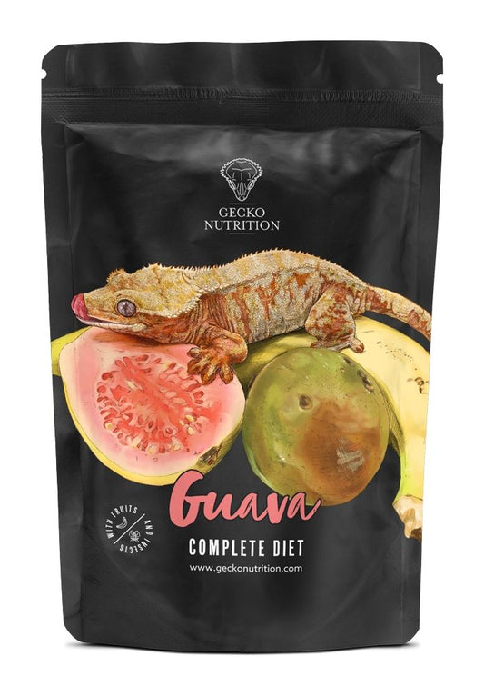 Hrana sub forma de pudra pentru gecko, Gecko Nutrition, aroma guava, plic resigilabil, 50 g