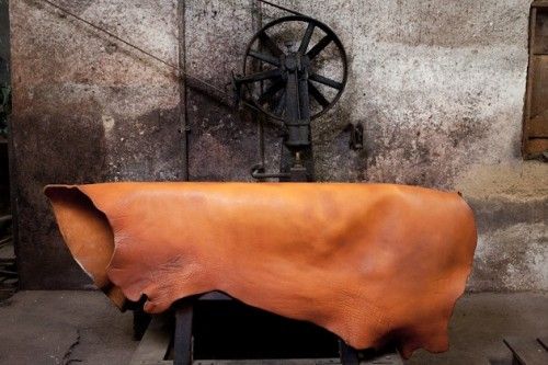 Zgarda maro de piele pentru caini, EcoSkin Coll'R 40/25 Cognac/metal, lungime 29-35/latime 2.5 cm