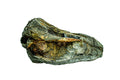 Piatra naturala decor Geler, Turtle Stone 10-30 cm, pret/kg