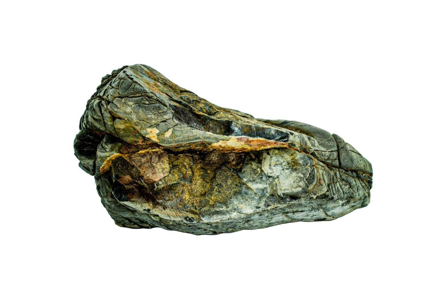 Piatra naturala decor Geler, Turtle Stone 10-30 cm, pret/kg