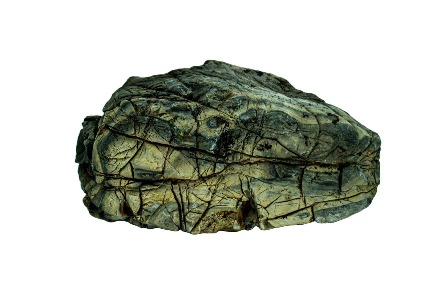 Piatra naturala decor Geler, Turtle Stone 10-30 cm, pret/kg