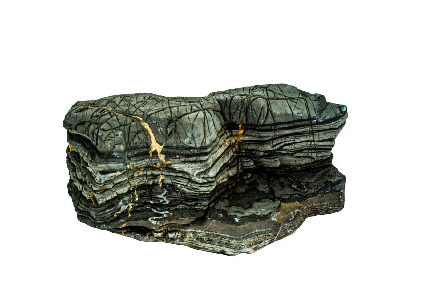 Piatra naturala decor Geler, Turtle Stone 10-30 cm, pret/kg