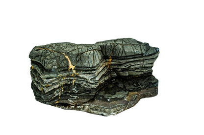 Piatra naturala decor Geler, Turtle Stone 10-30 cm, pret/kg