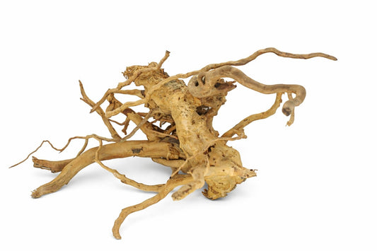 Decor acvariu lemn natural Geler Spider Wood Rhododendron, pret per kg