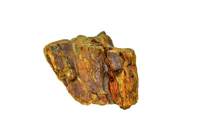 Piatra naturala decor Geler, Petrified Wood Stone 10-40 cm, pret/kg