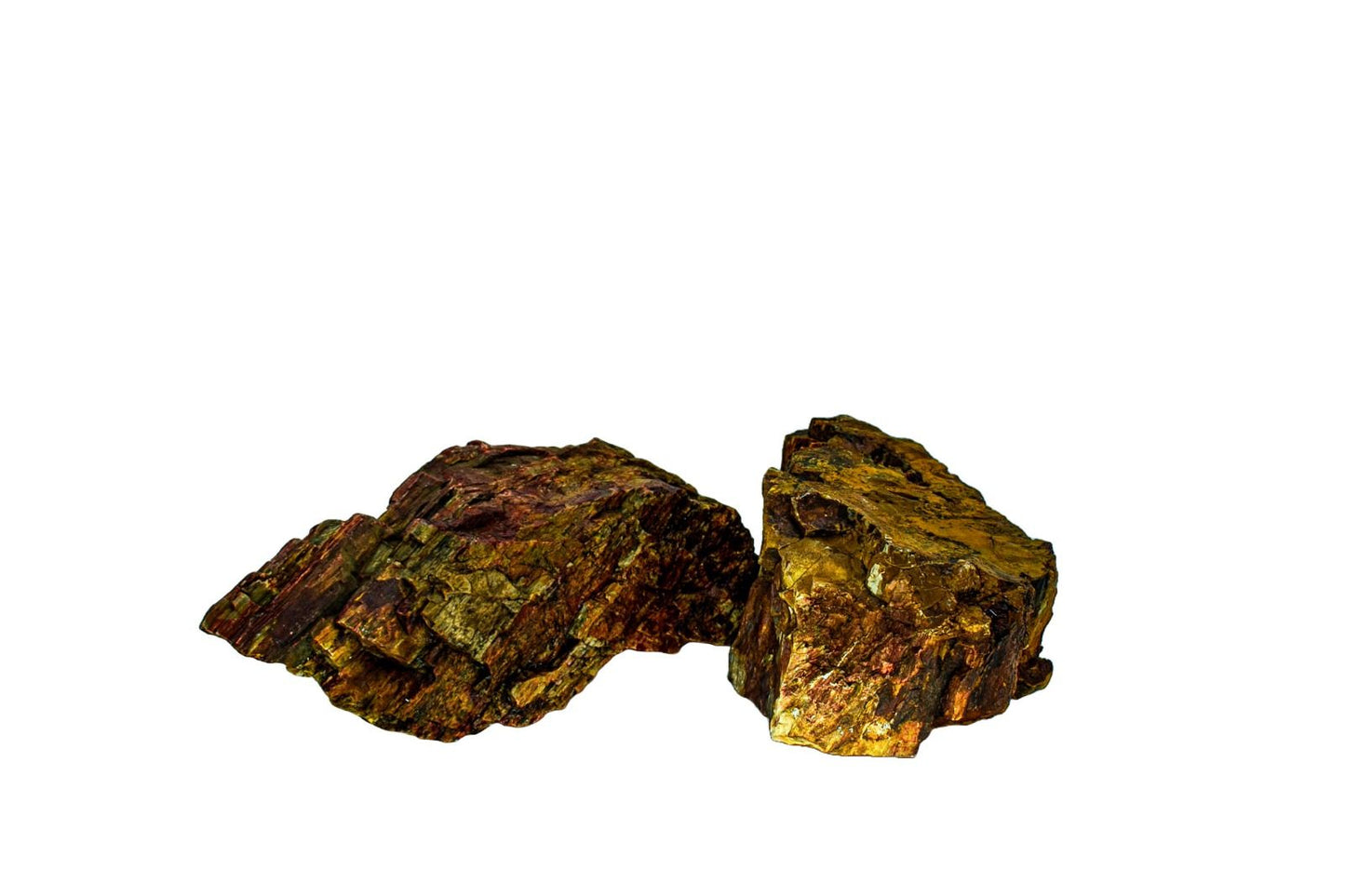 Piatra naturala decor Geler, Petrified Wood Stone 10-40 cm, pret/kg