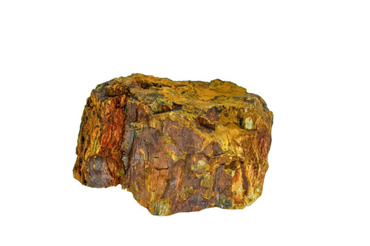 Piatra naturala decor Geler, Petrified Wood Stone 10-40 cm, pret/kg