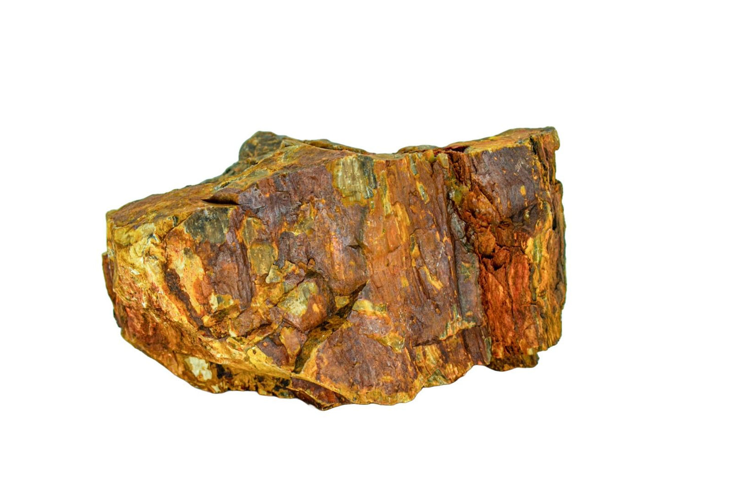 Piatra naturala decor Geler, Petrified Wood Stone 10-40 cm, pret/kg