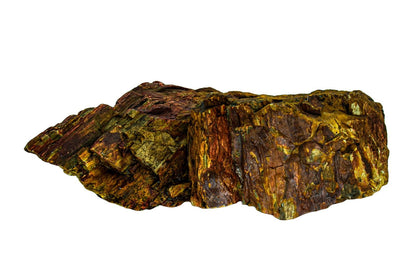 Piatra naturala decor Geler, Petrified Wood Stone 10-40 cm, pret/kg