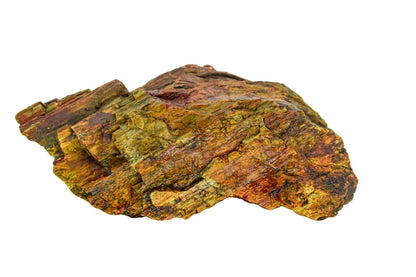 Piatra naturala decor Geler, Petrified Wood Stone 10-40 cm, pret/kg