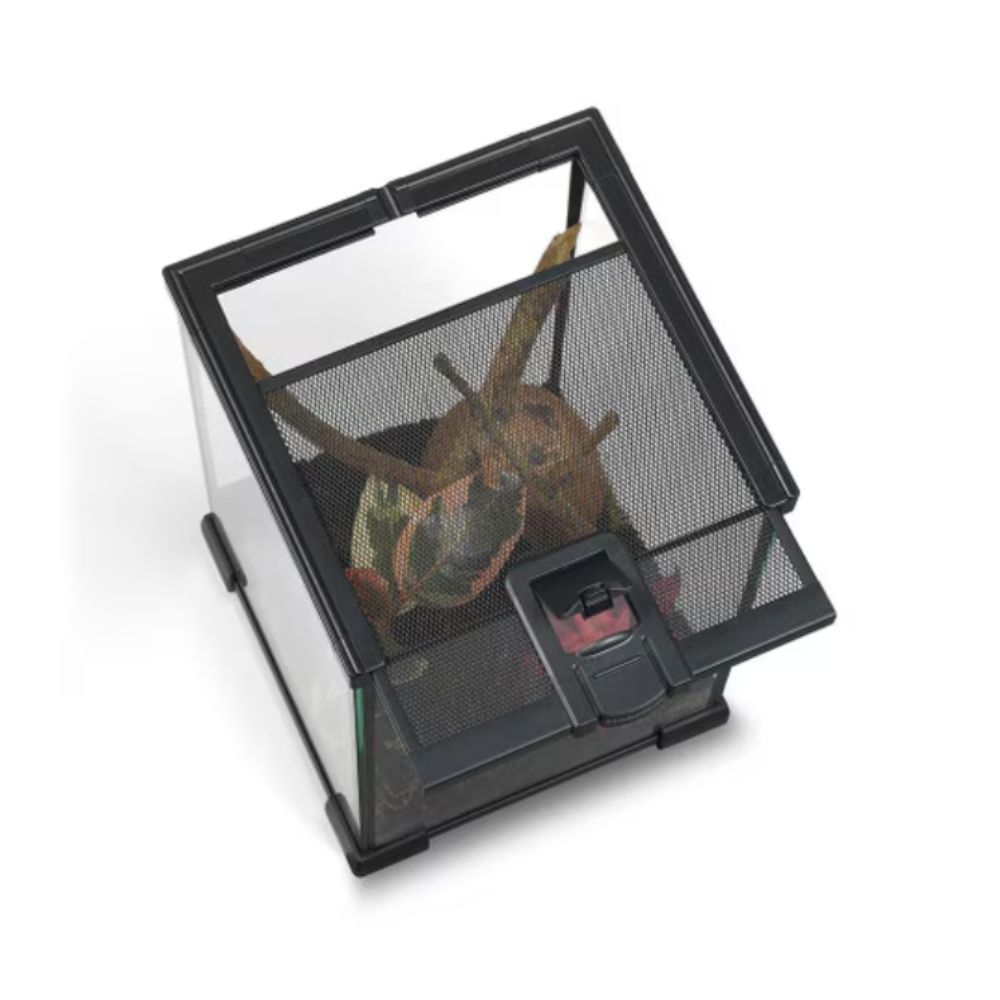 Terariu din sticla pentru reptile, HabiStat, 91.4x45.7x60 cm, ambalat plat