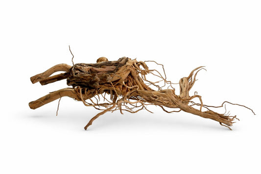 Decor acvariu radacina Geler Twist Root, pret per kg