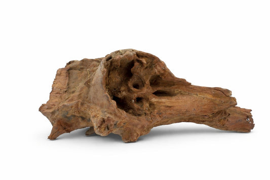 Decor acvariu lemn natural Mangrove S, pret per kg