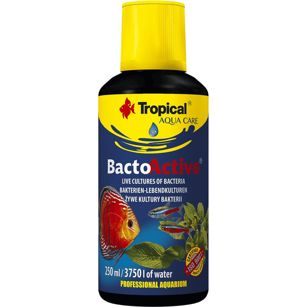 Baktériumkultúrák hozzáadása, Tropical Bacto Active