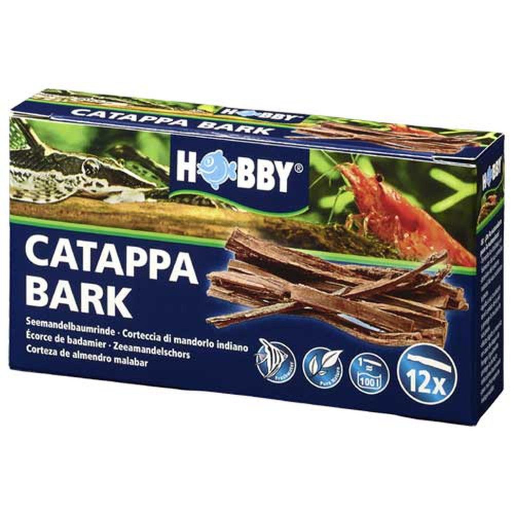 Catappa kagyló, Hobby, 12 db.