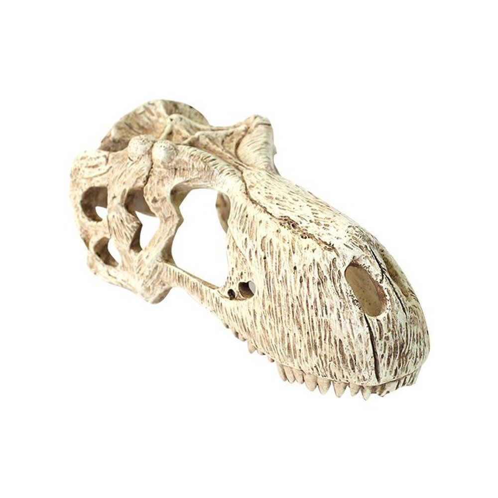 Terrárium dekoráció dinoszaurusz koponya formájában, Komodo T-Rex koponya, L