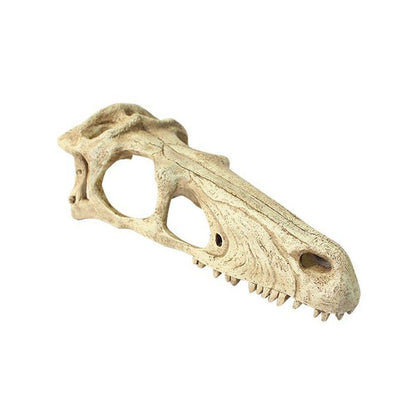 Decor terariu craniu de dinozaur, Komodo Raptor Skull,  S