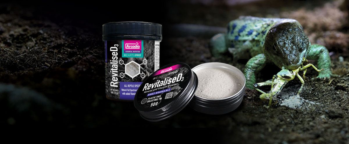 Supliment pentru Reptile Arcadia EarthPro Re Vitalise D3, 50g