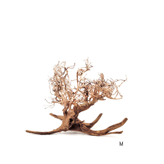 Arbust decorativ pentru acvarii  i terarii, Wio, Arbu tu  Arboretum M, L: 30-50 cm/H: 25-35 cm