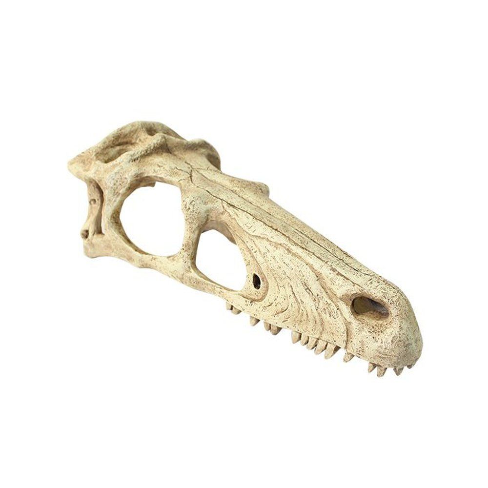 Terrárium dekoráció dinoszaurusz koponya formájában, Komodo Raptor Skull