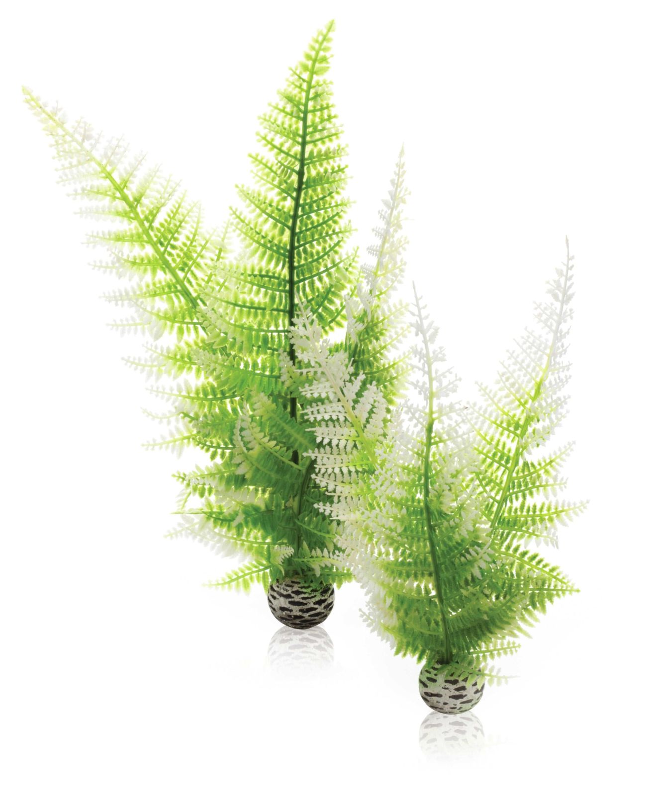 Mesterséges dekorációs készlet 2 db téli páfrányból, Oase biOrb aquatic winter fern set 2