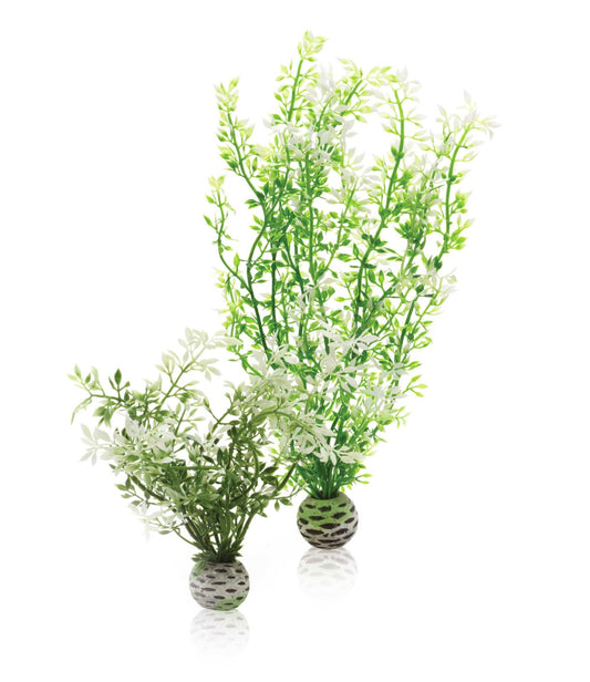 Mesterséges dekorációs készlet 2 db zöld növényből, Oase biOrb aquatic winter flower set 2