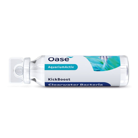 Baktériumok hozzáadása, Oase KickBoost Clearwater Bacteria, 30 ml