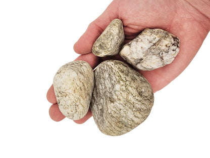 Díszkövek akváriumokba és terráriumokba, Wio, Idősek Nano Boulder, 2 kg, 1-10 cm