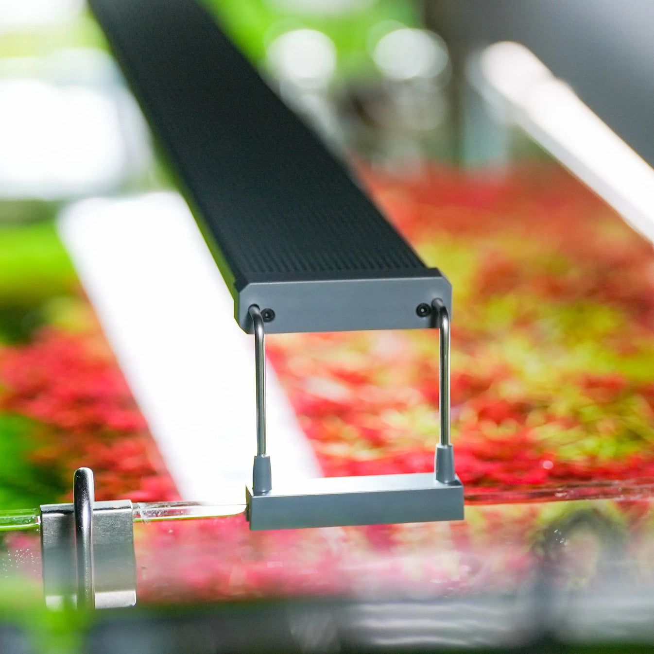 Akváriumi lámpa, Chihiros B60 60-80 cm LED lámpa