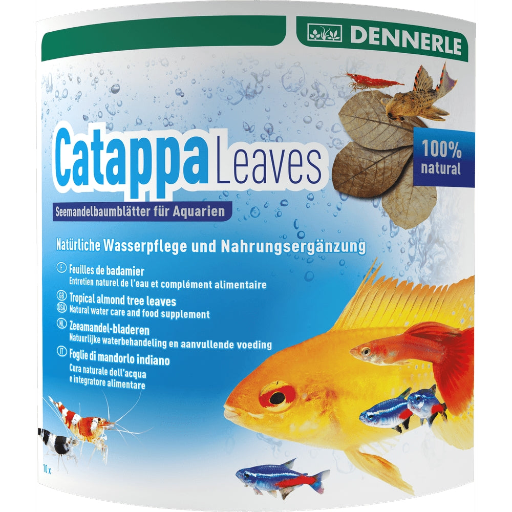 Catappa levelek, Dennerle Catappa Leaves, 10 db