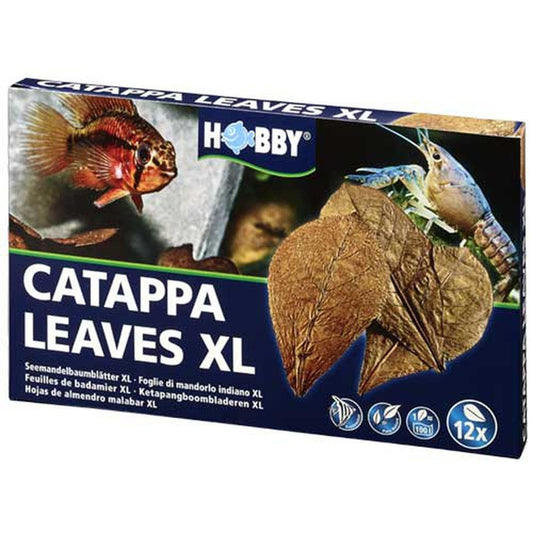 Catappa levelek, Hobbi, Catappa Levelek XL, 12 db