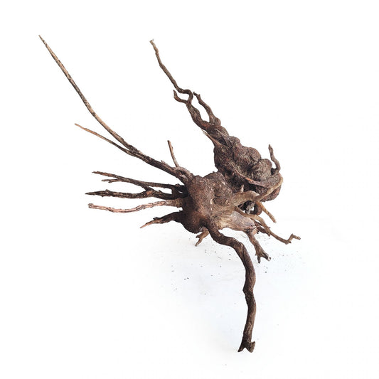 Dekoratív fa akváriumokhoz és tavakhoz, Wio, Csíkos fa, L, 70-120 cm