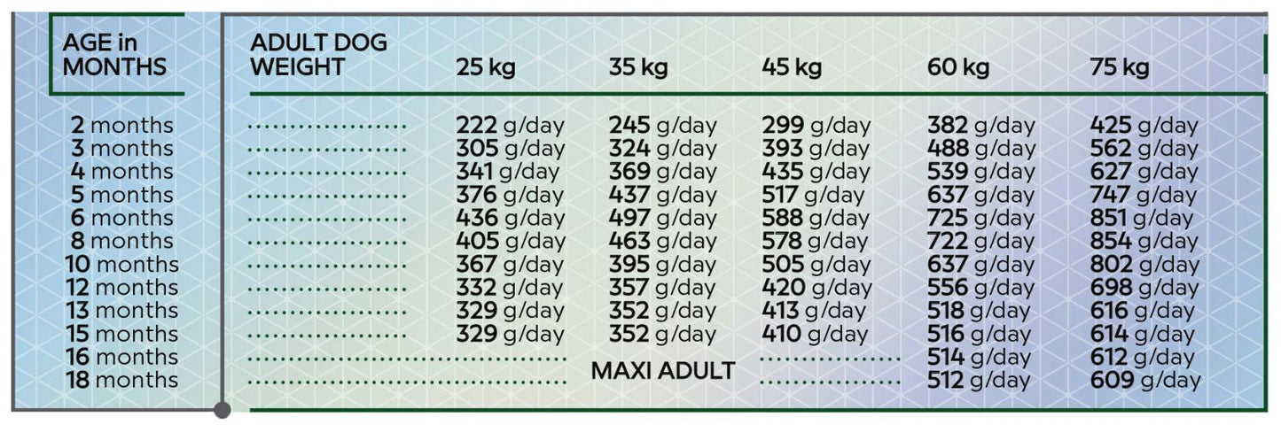 Baromfi alapú szárazeledel nagytestű fiatal kutyák számára. HiQ Maxi Junior, 2,8 kg