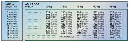 Baromfi alapú szárazeledel nagytestű fiatal kutyák számára. HiQ Maxi Junior, 2,8 kg