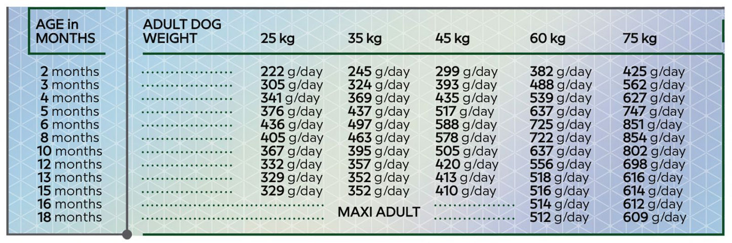 Hrana uscata pentru caini tineri de talie mare pe baza de carne de pasare. HiQ Maxi Junior, 11 kg